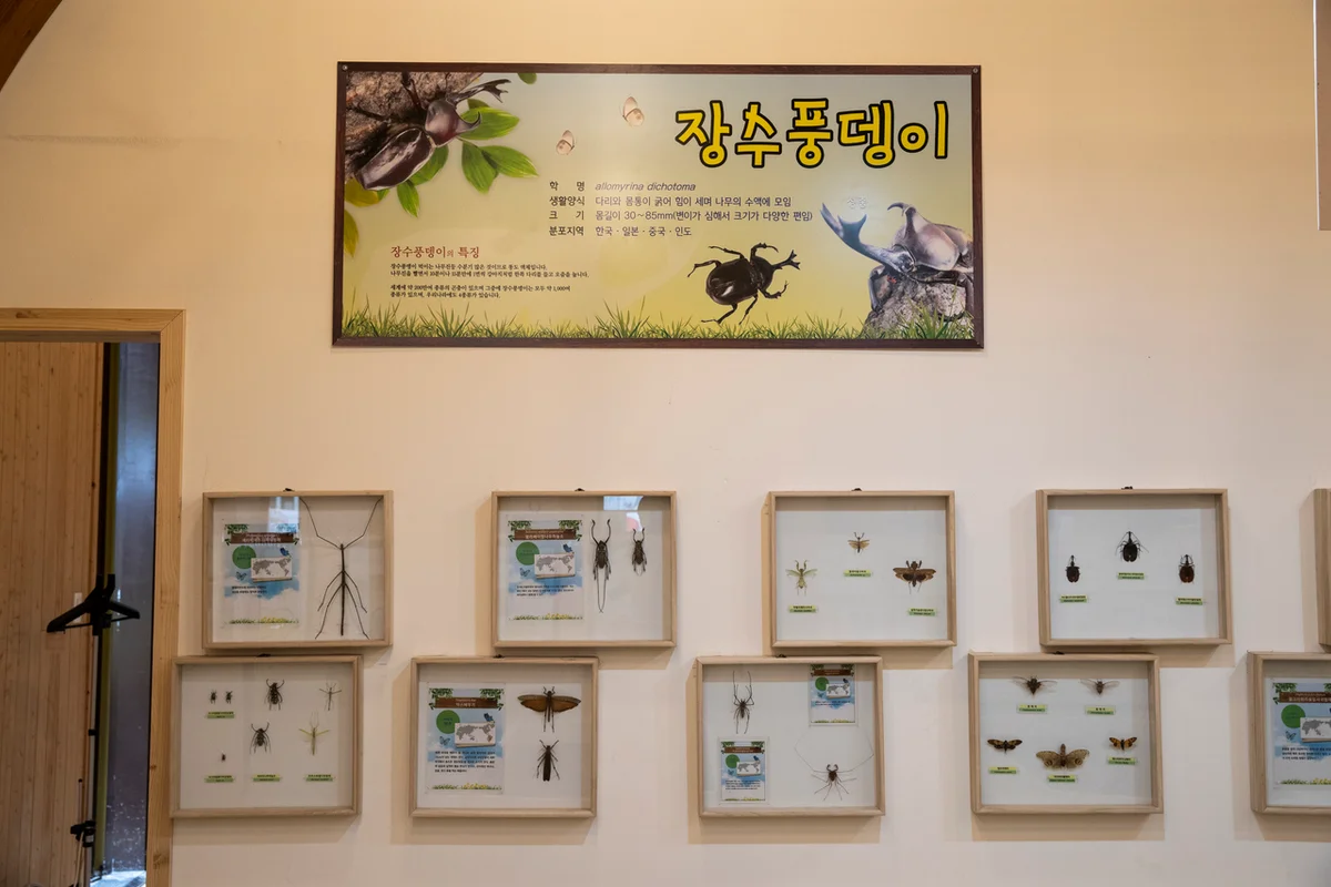 장수누리파크 - 장수여행 여행