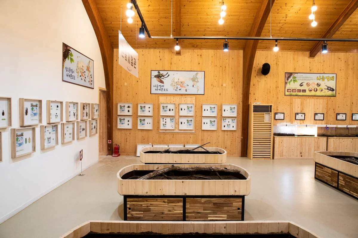 장안산 - 장수여행 여행