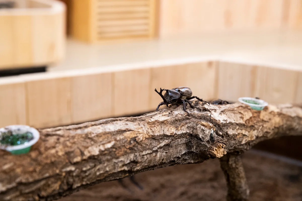 장수누리파크 - 장수여행 여행