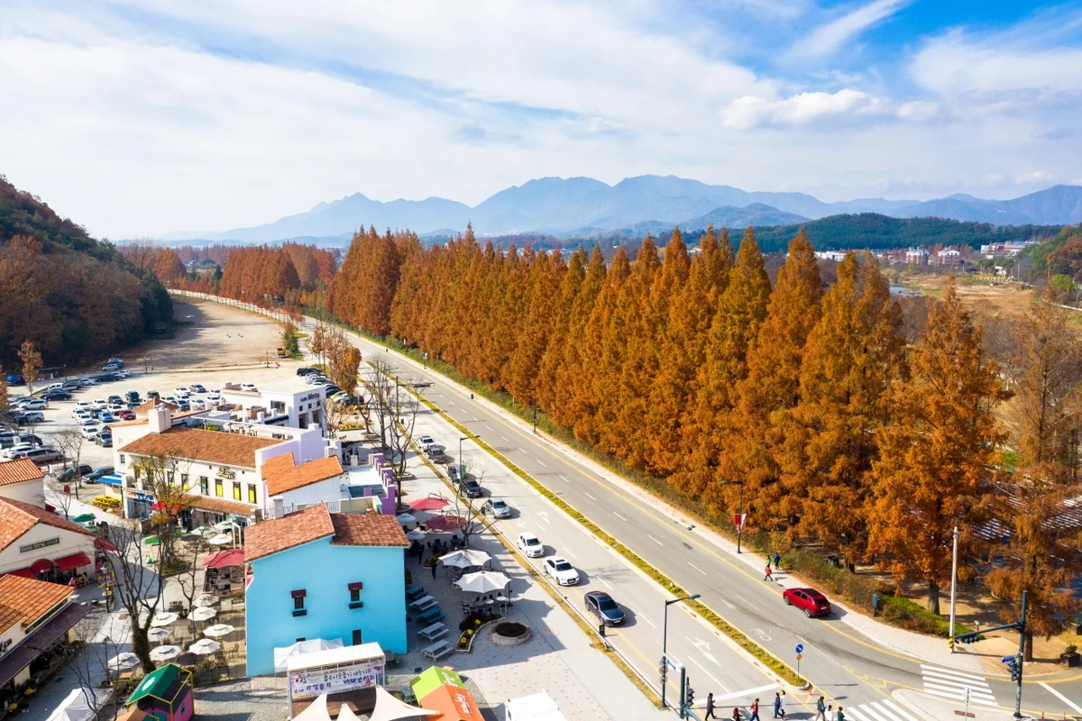 메타프로방스: 이국적인 감성 산책 - 담양여행 여행