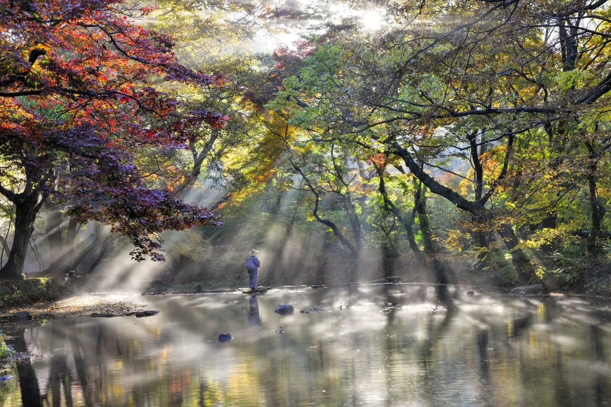 선운사 - 고창여행 여행