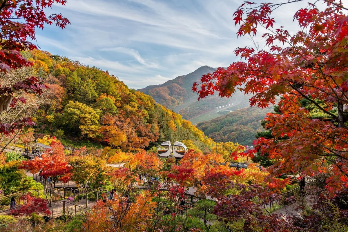 화담숲 - 광주시경기관광 여행
