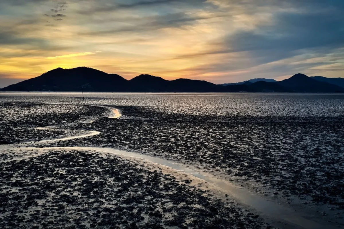 순천만습지 - 순천여행 여행