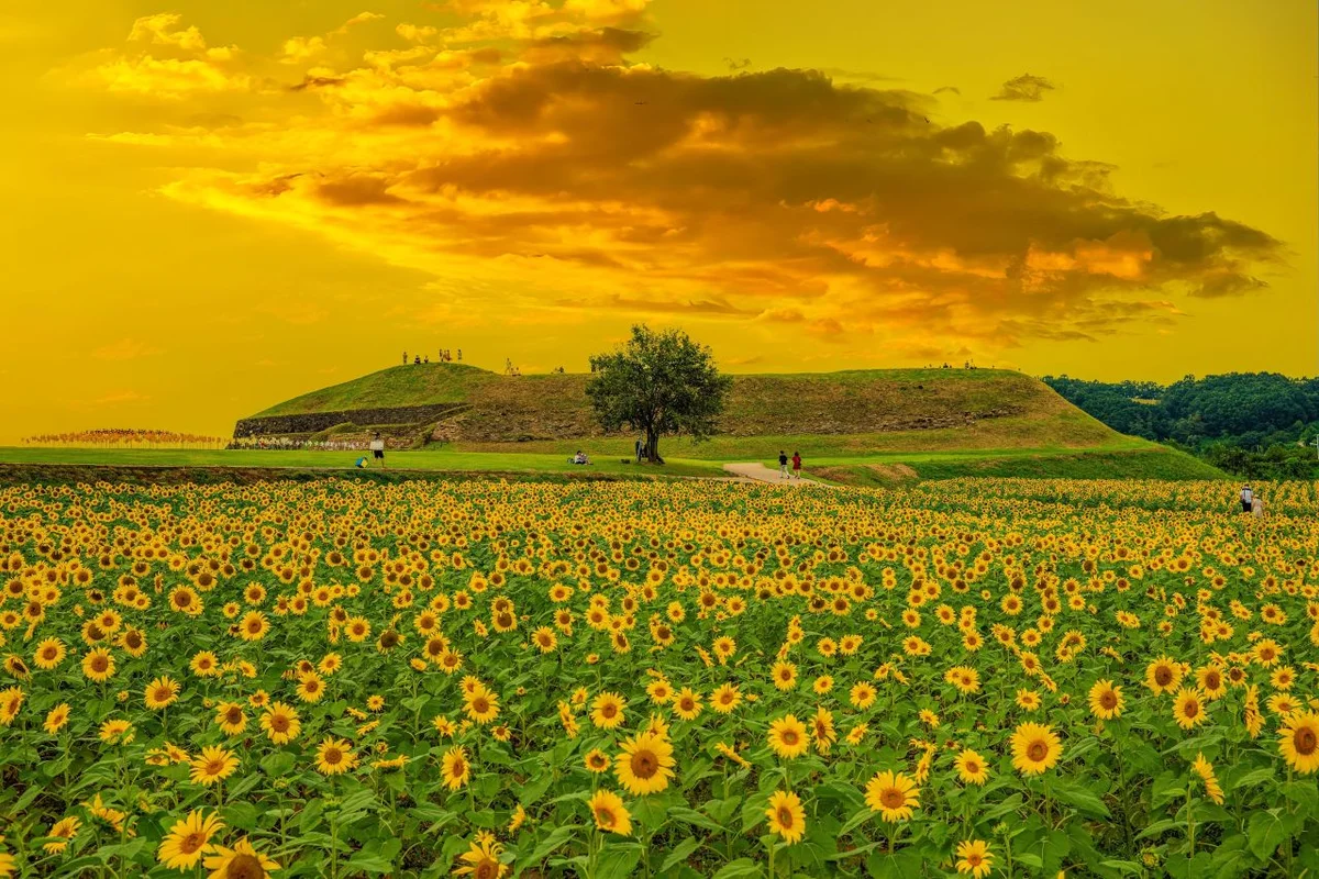 연천 호로고루 - 연천군 여행