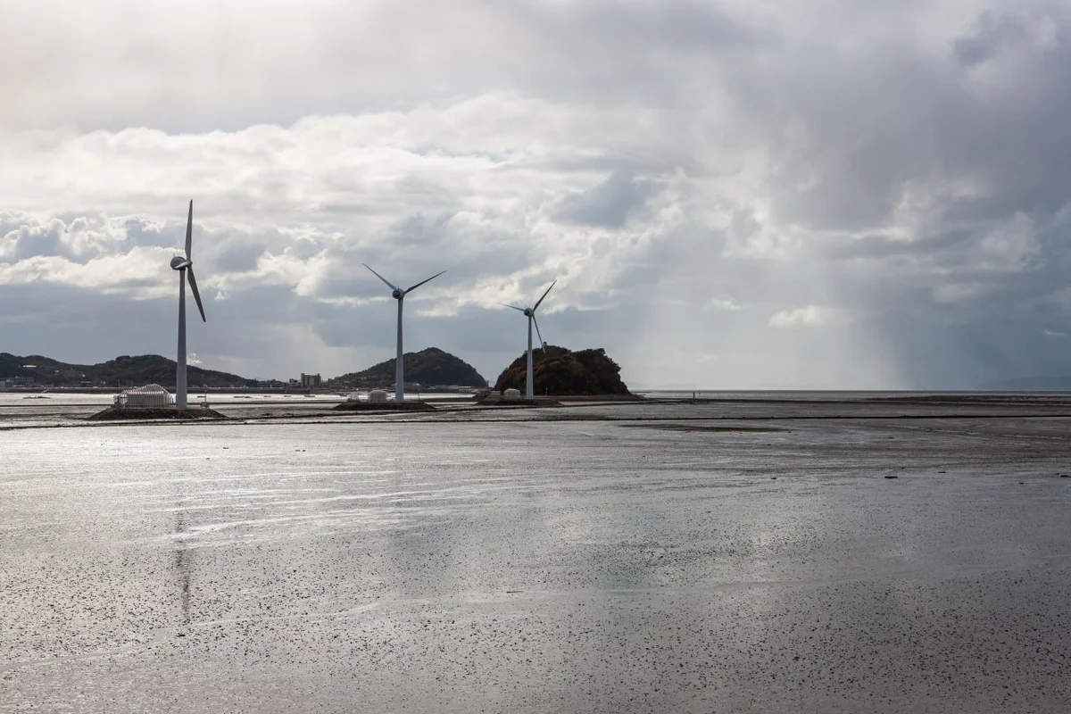 탄도항 - 안산물놀이 여행