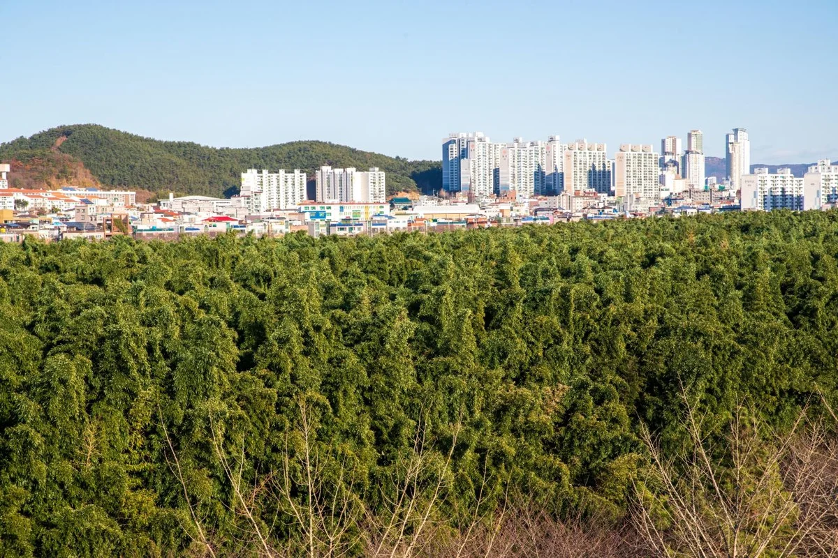 범패민속문화박물관 - 인천미추홀구 여행