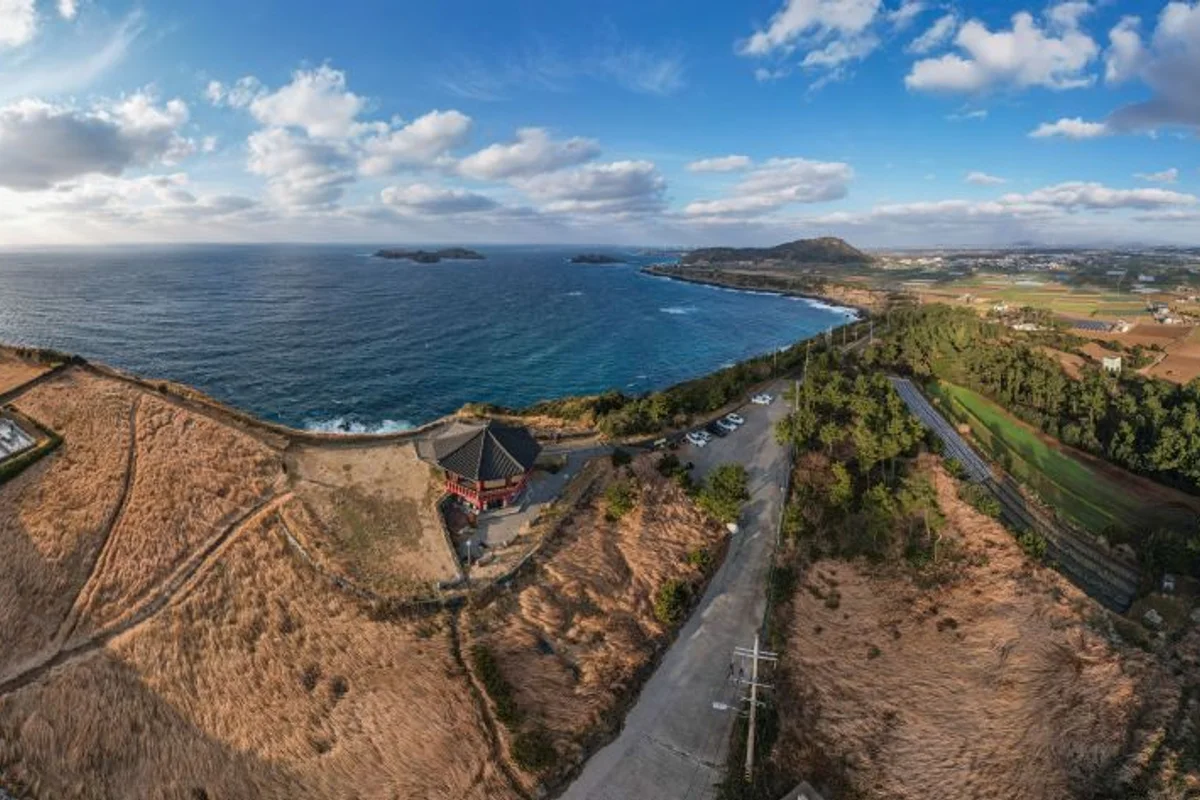 제주시 전농로 벚꽃거리 - 3월제주도 여행