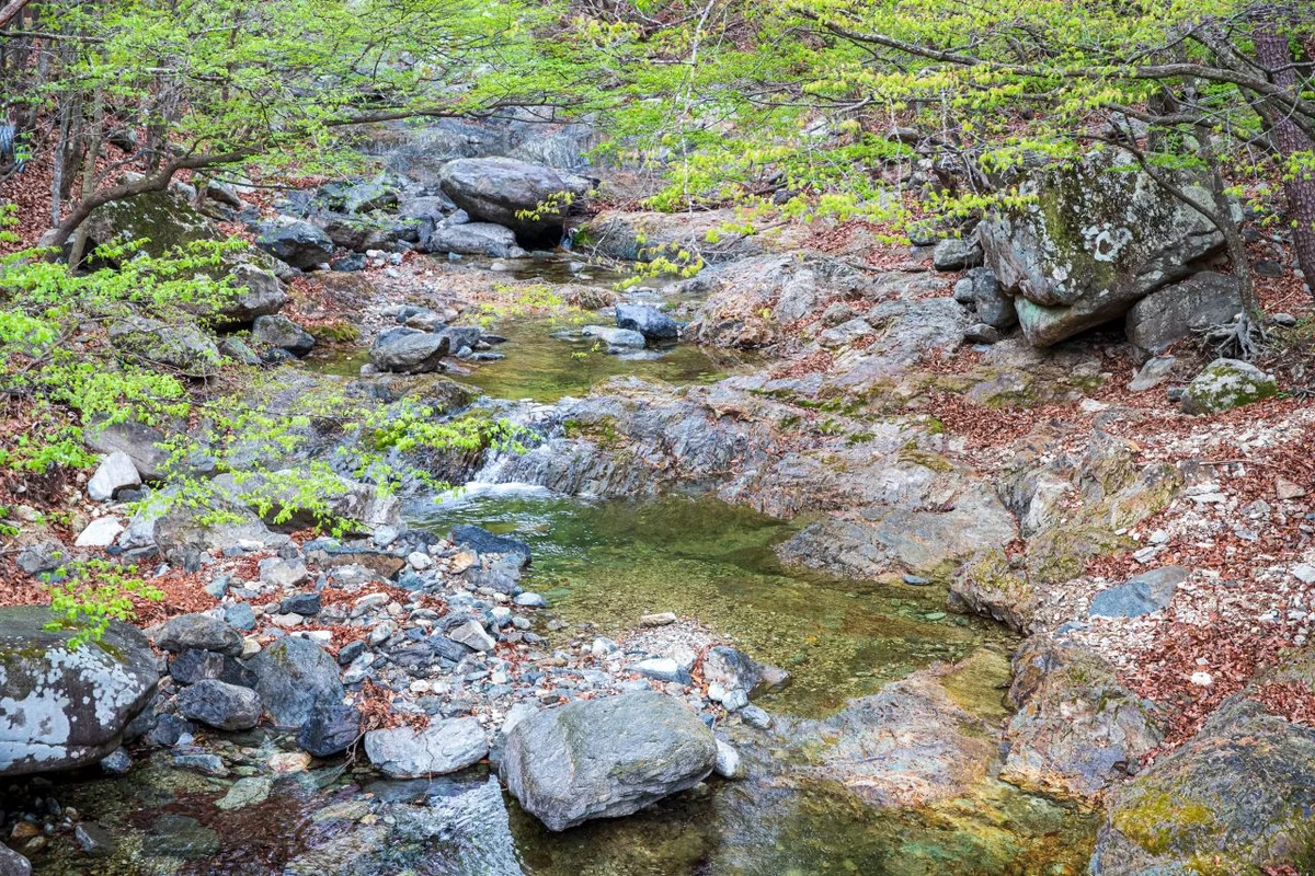 천성산 - 양산여행 여행