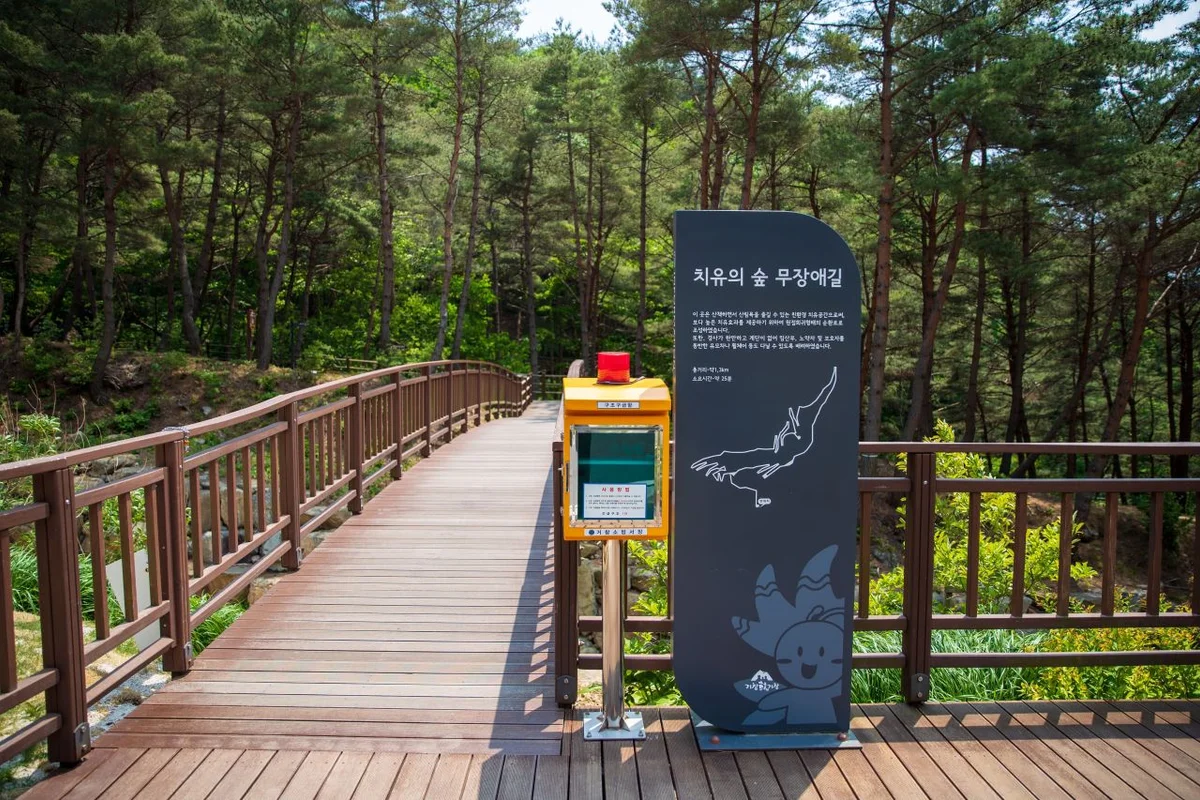 Common Area - 합정 여행