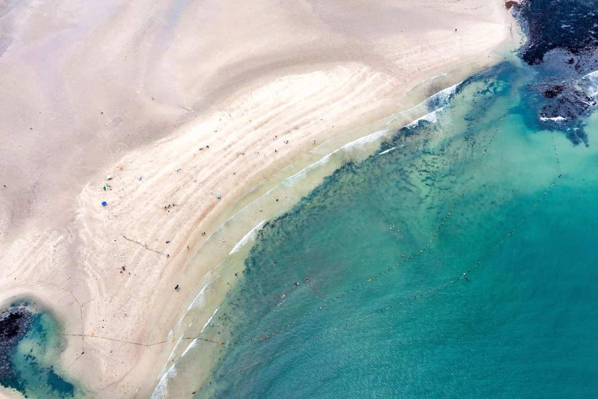 가시리 녹산로 유채꽃길 - 제주여행 여행