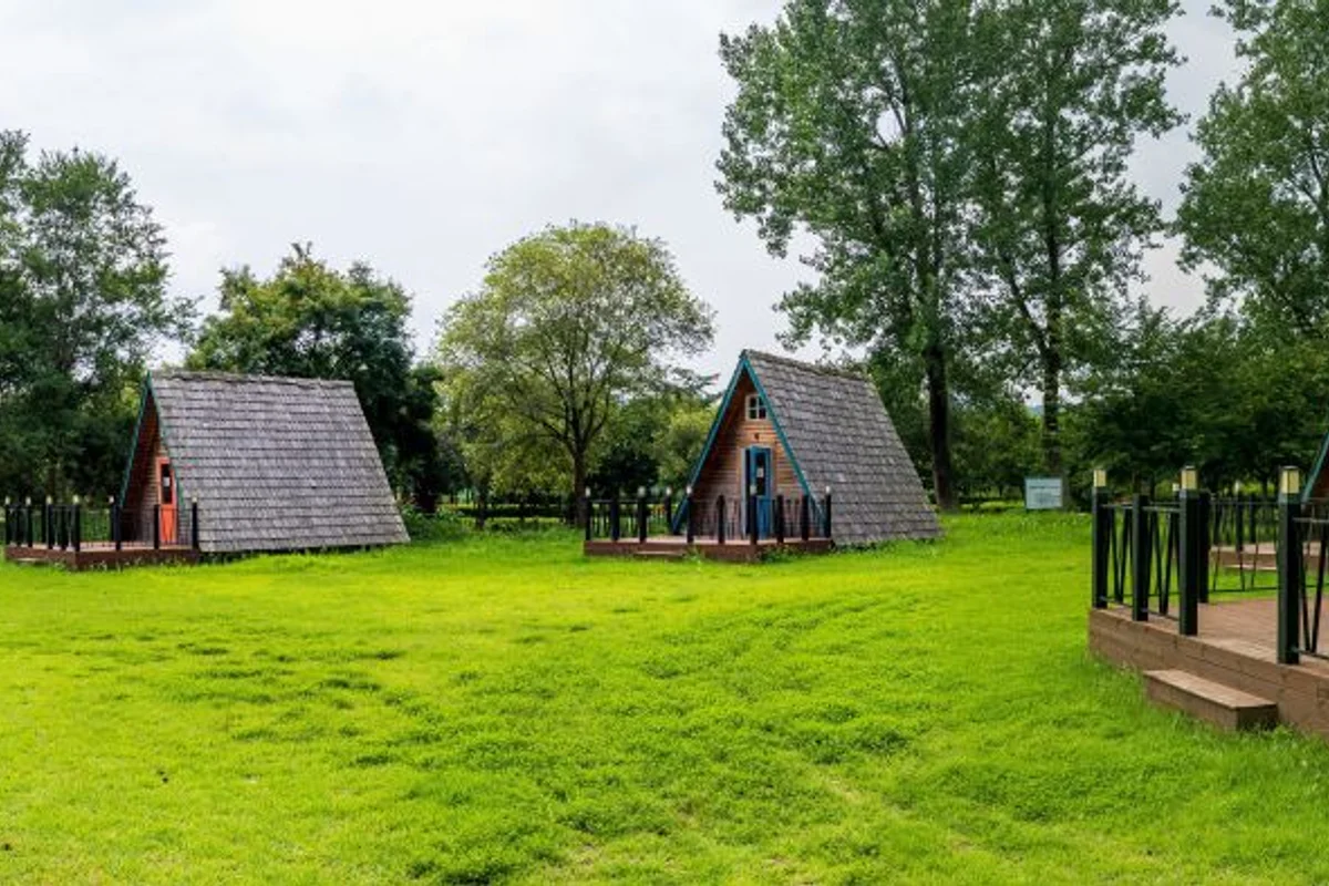 자라섬 남도 - 자라섬벚꽃 여행