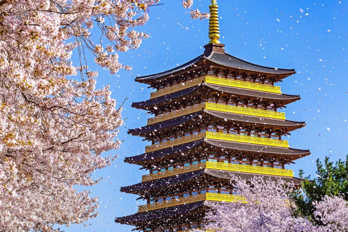 황룡원 벚꽃길 - 경주 여행