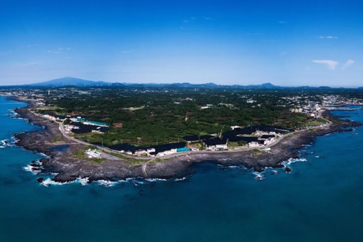 세화민속오일시장 - 제주 여행 여행