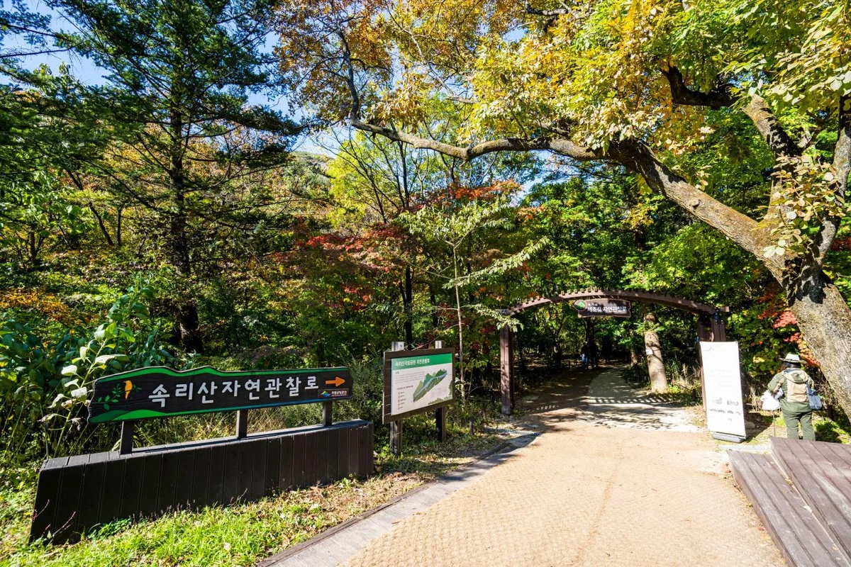 세조길 - 속리산 여행