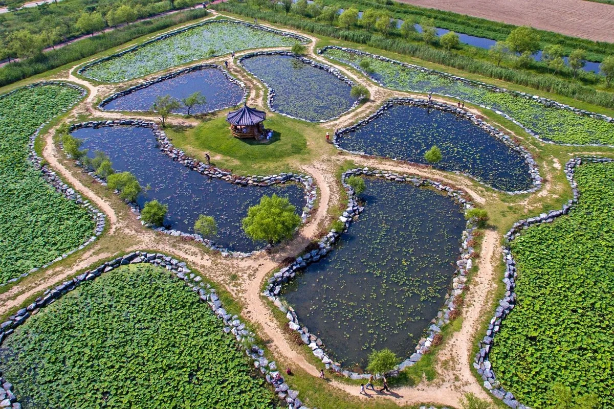 삼락생태공원 - 사상구 여행