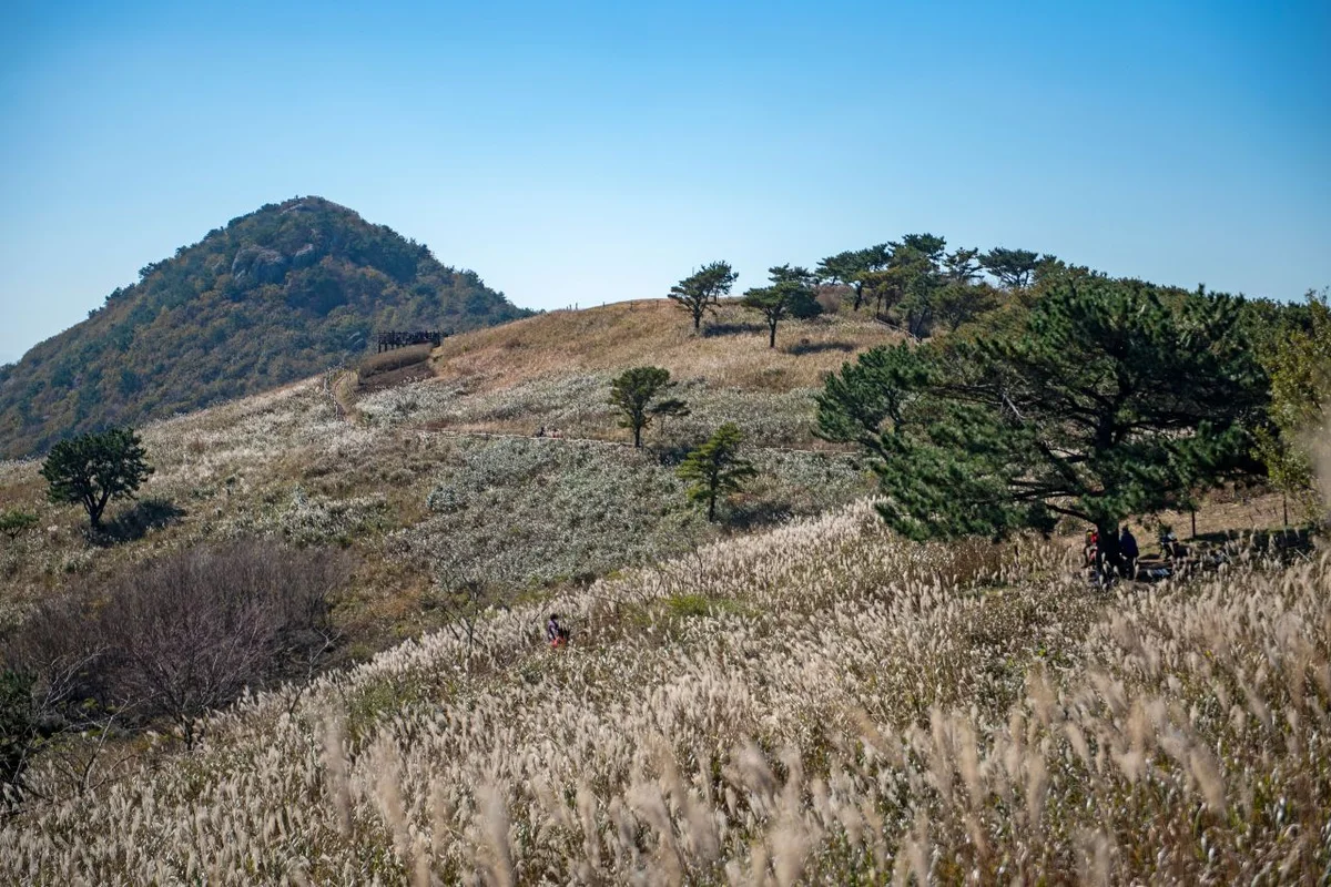 승학산 - 미추홀구 여행