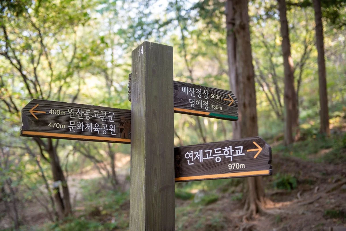 배산 - 연제캠핑 여행