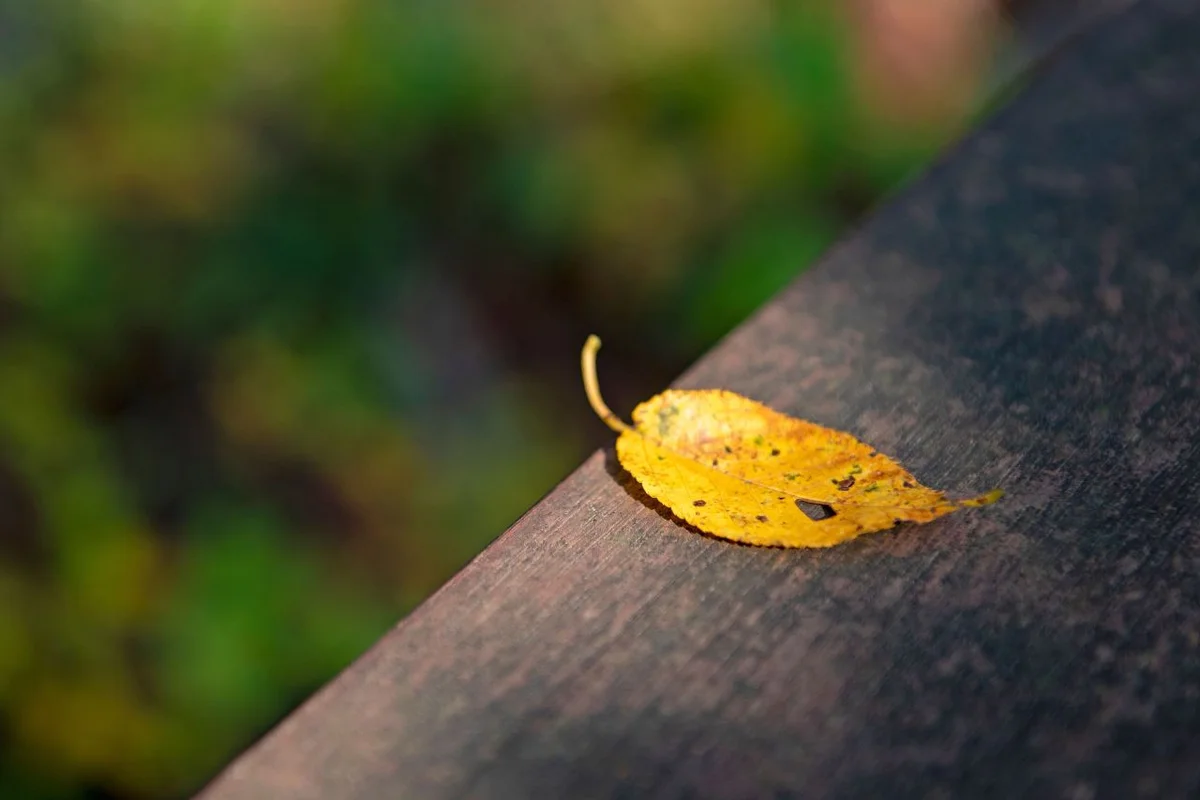 연산동고분군 - 연제캠핑 여행