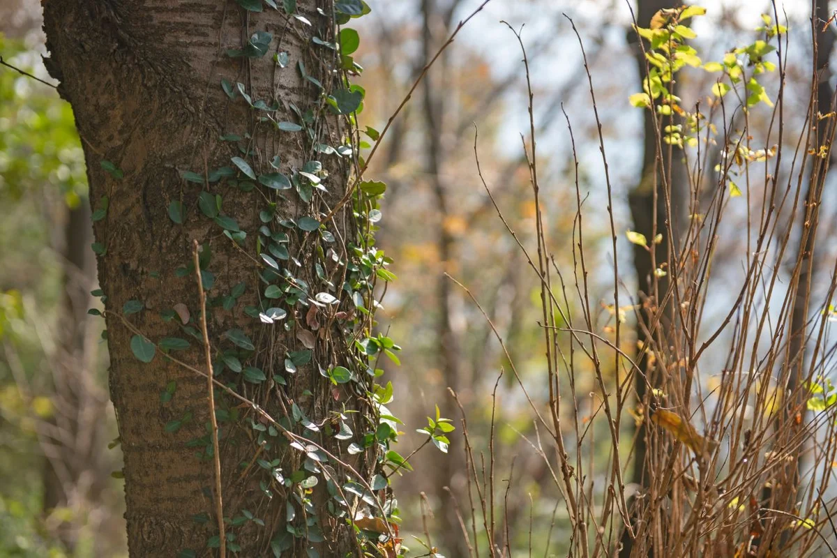 대영해수온천 - 연제구 여행