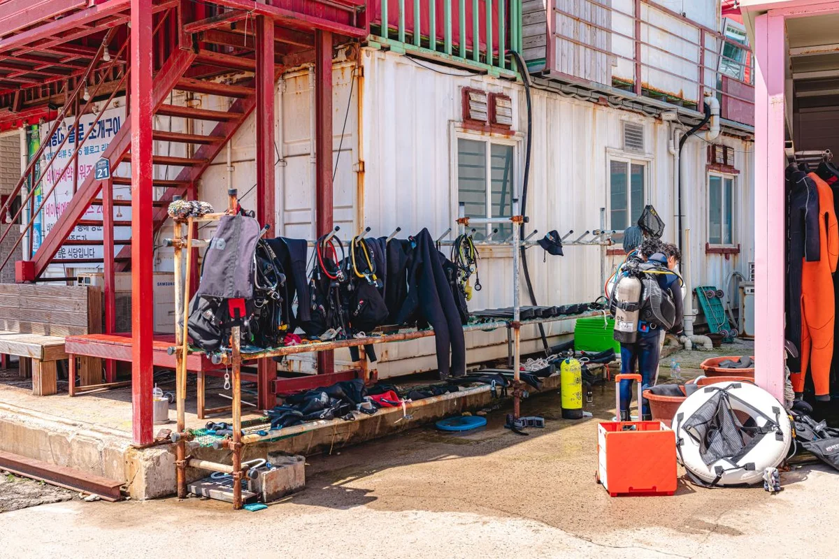 태종대 - 영도벚꽃 여행