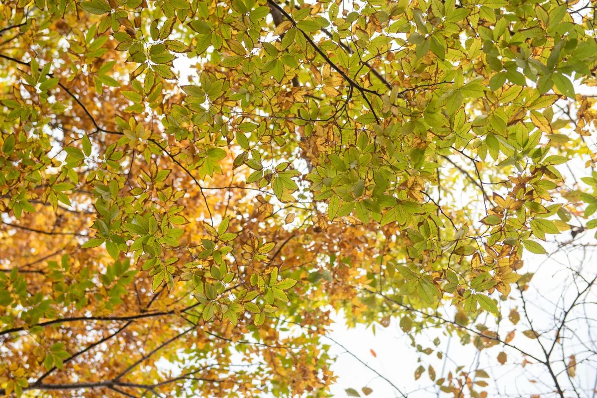 연제 커플 여행 (출처 : 한국관광공사)