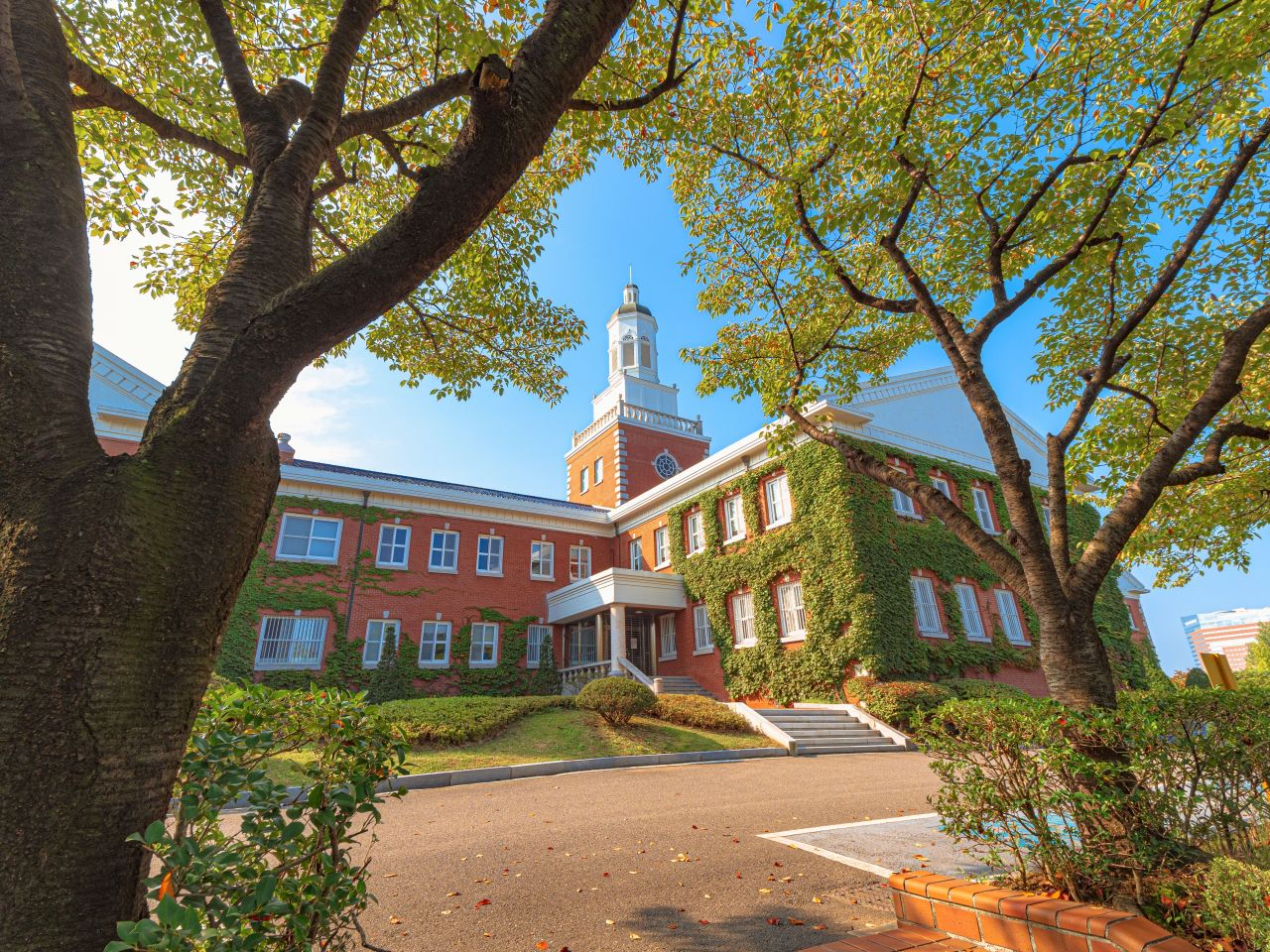 달서 패러글라이딩 (출처 : 한국관광공사)