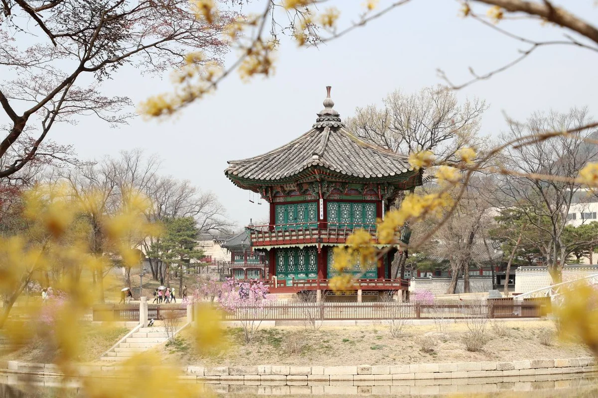 오패산 - 수유여행 여행