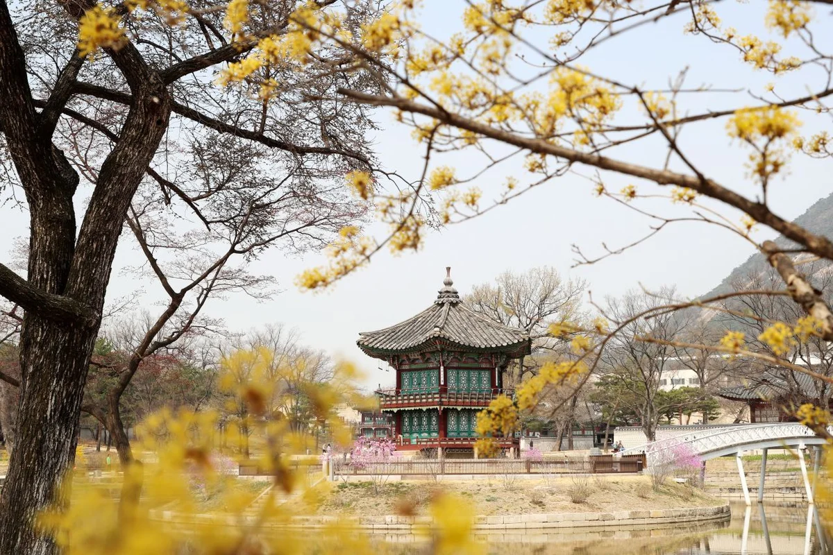 오동근린공원 유아숲체험장 - 수유여행 여행