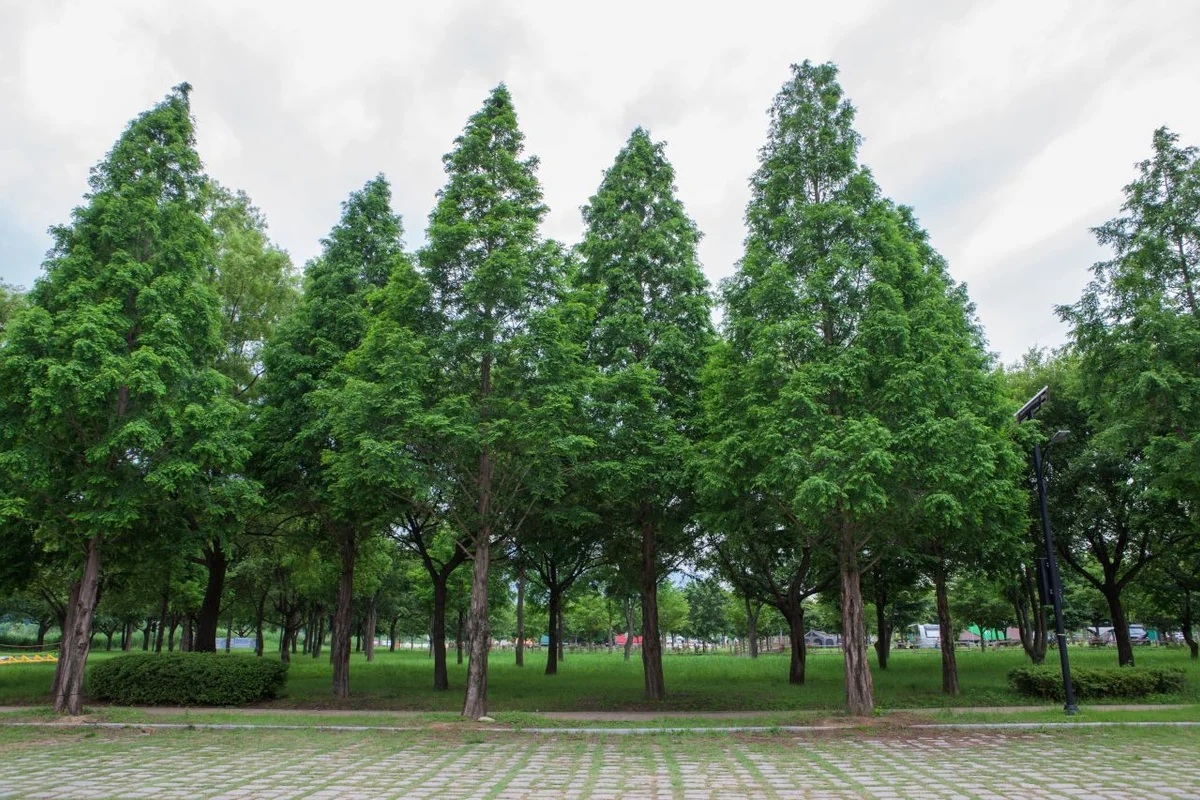 낙동강체육공원 - 구미여행 여행