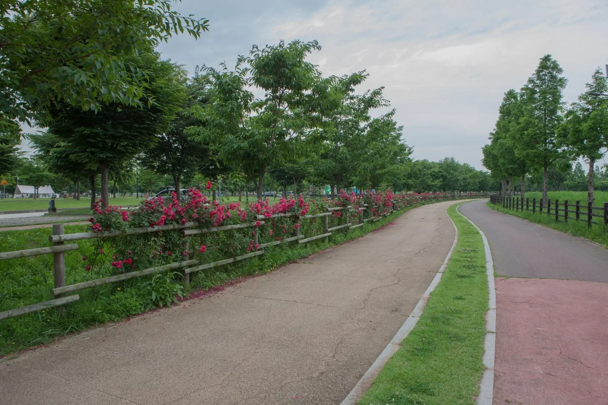 구미에코랜드 - 구미여행 여행