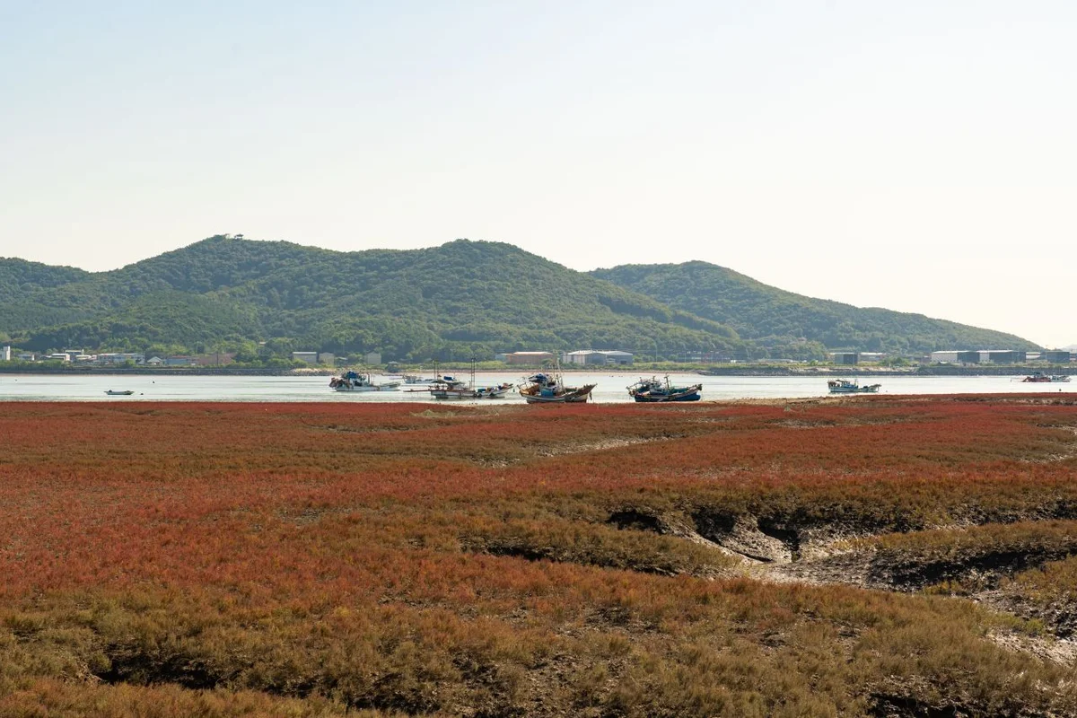 강화도 - 인천여행 여행