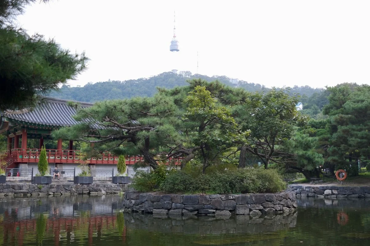 남산공원 - 중구 산책로 여행