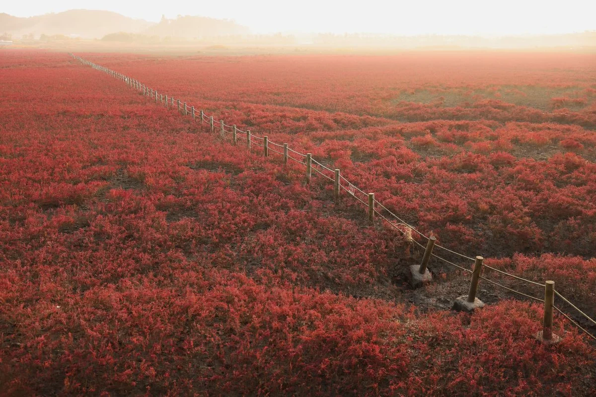 남동 데이트 장소 (출처 : 한국관광공사)