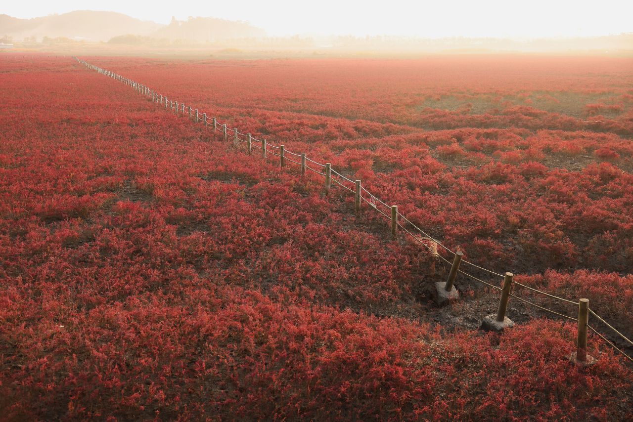 남동구 2박3일 (출처 : 한국관광공사)