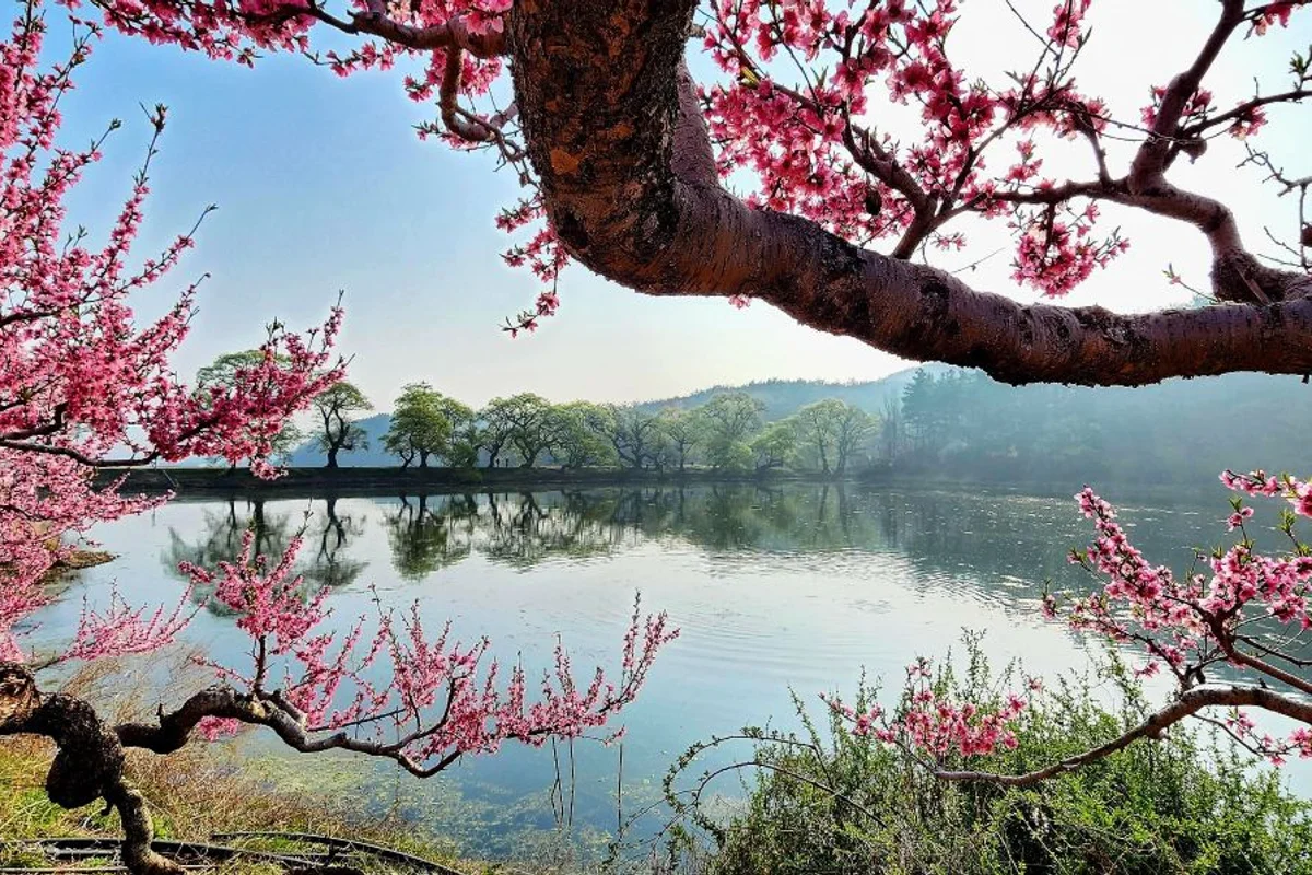 경산시 MTB (출처 : 한국관광공사)