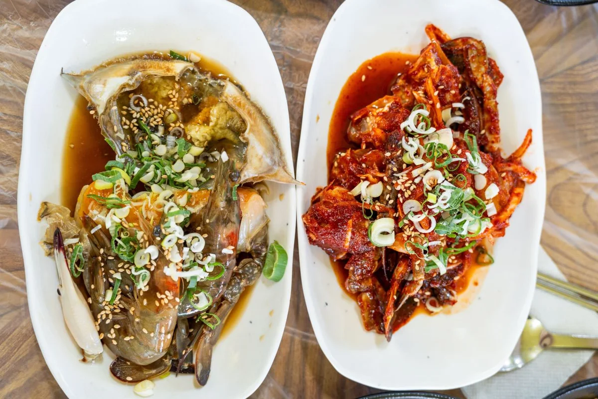 태안세계튤립꽃박람회 (코리아플라워파크) - 태안군 여행