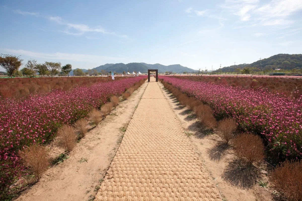 호국의병의숲 친수공원 - 의령여행 여행