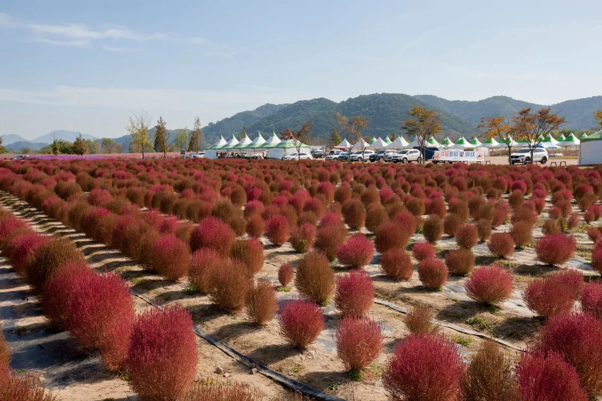 의령군민공원 - 의령여행 여행