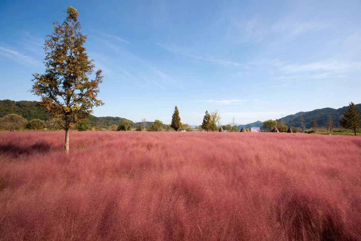의령곤충생태학습관 - 의령여행 여행