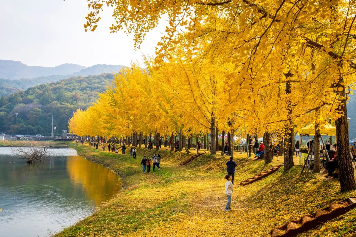 문광저수지 - 괴산여행 여행