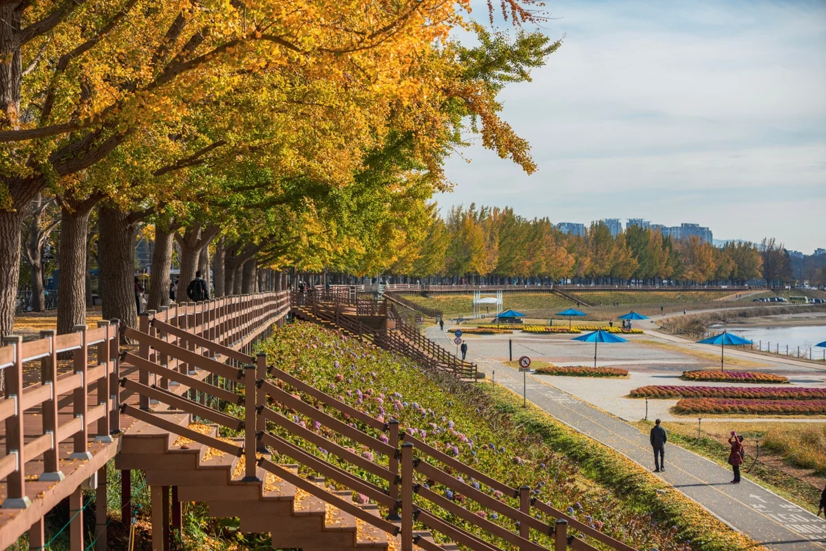 아산 지중해마을 - 아산여행 여행