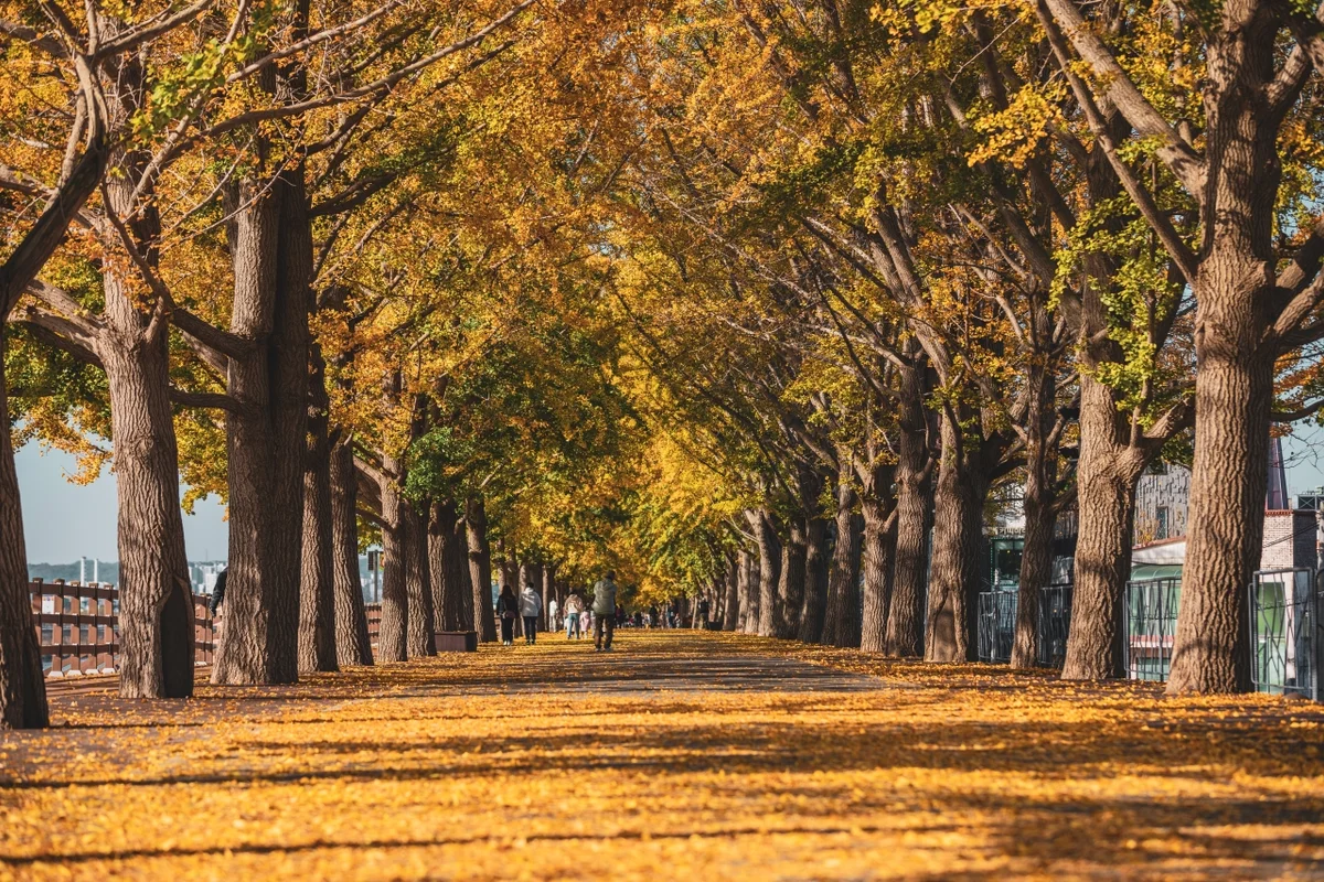 파라다이스스파도고 - 아산여행 여행