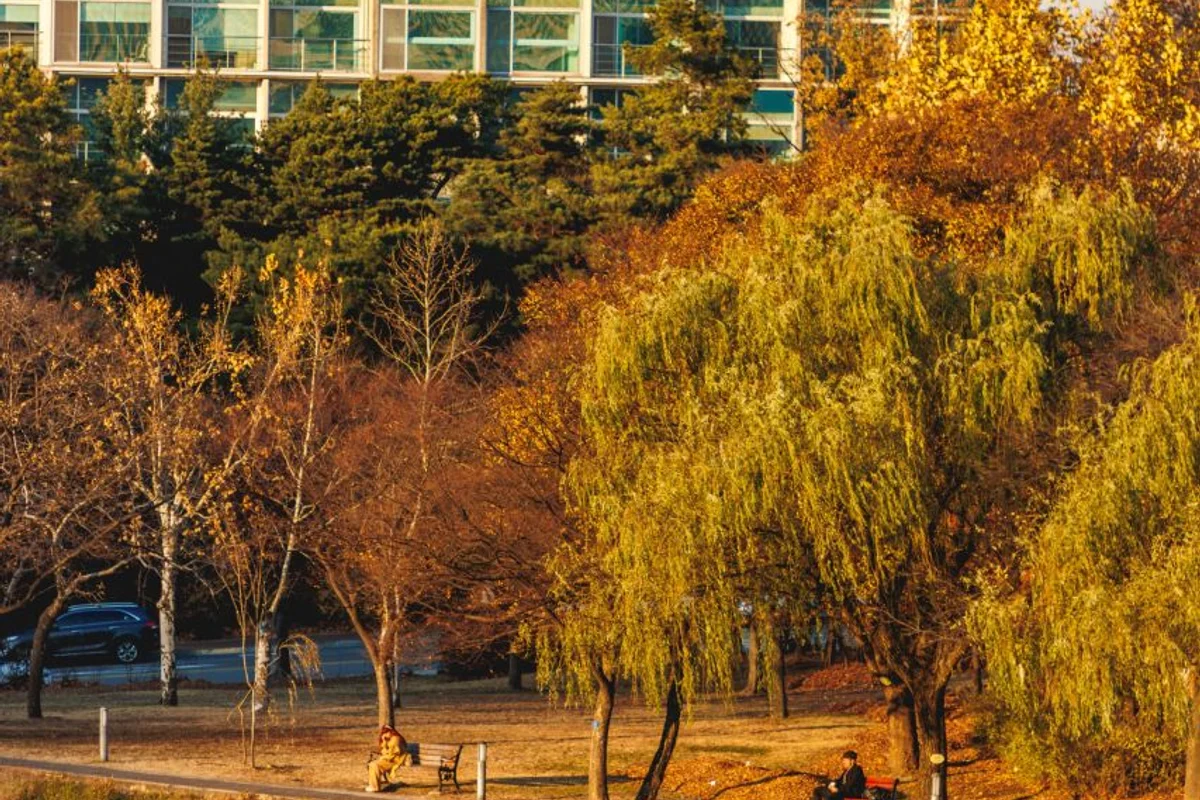 서울형 키즈카페: 관악 유아 동반 필수 코스 - 관악 유아 동반 여행