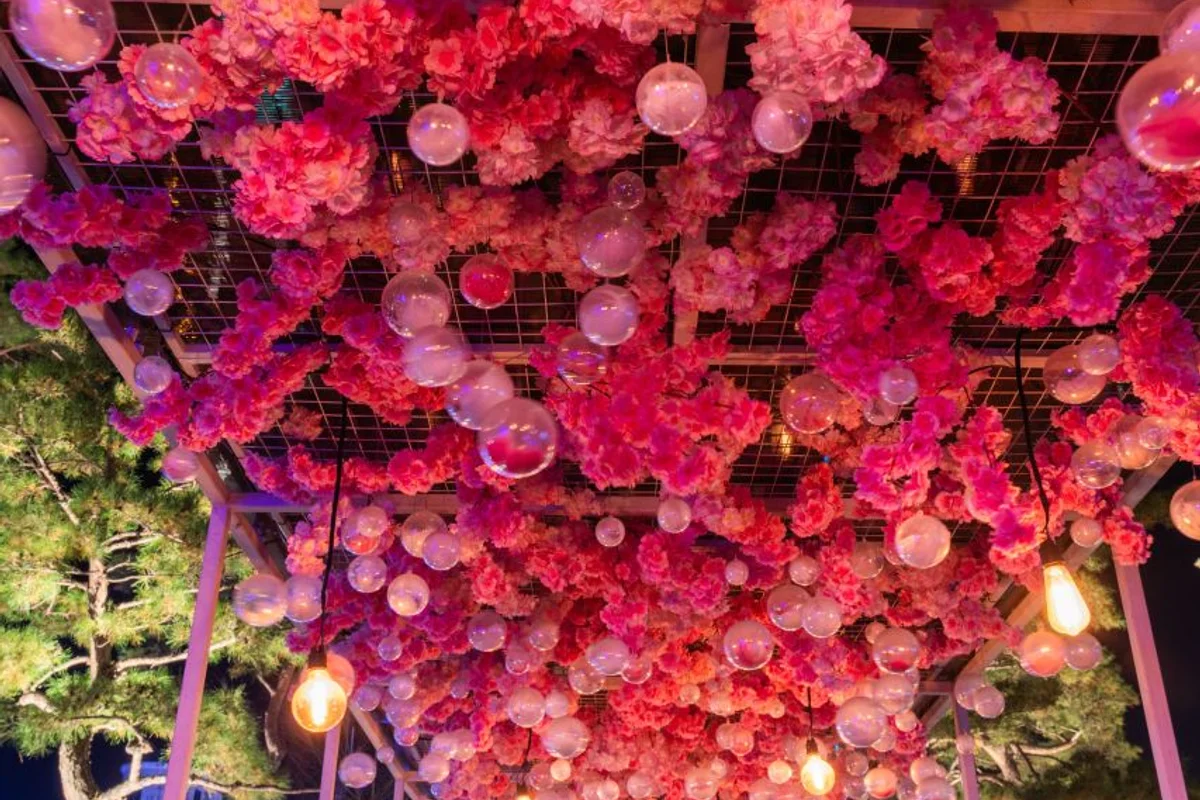 미선향테마파크 - 괴산여행 여행