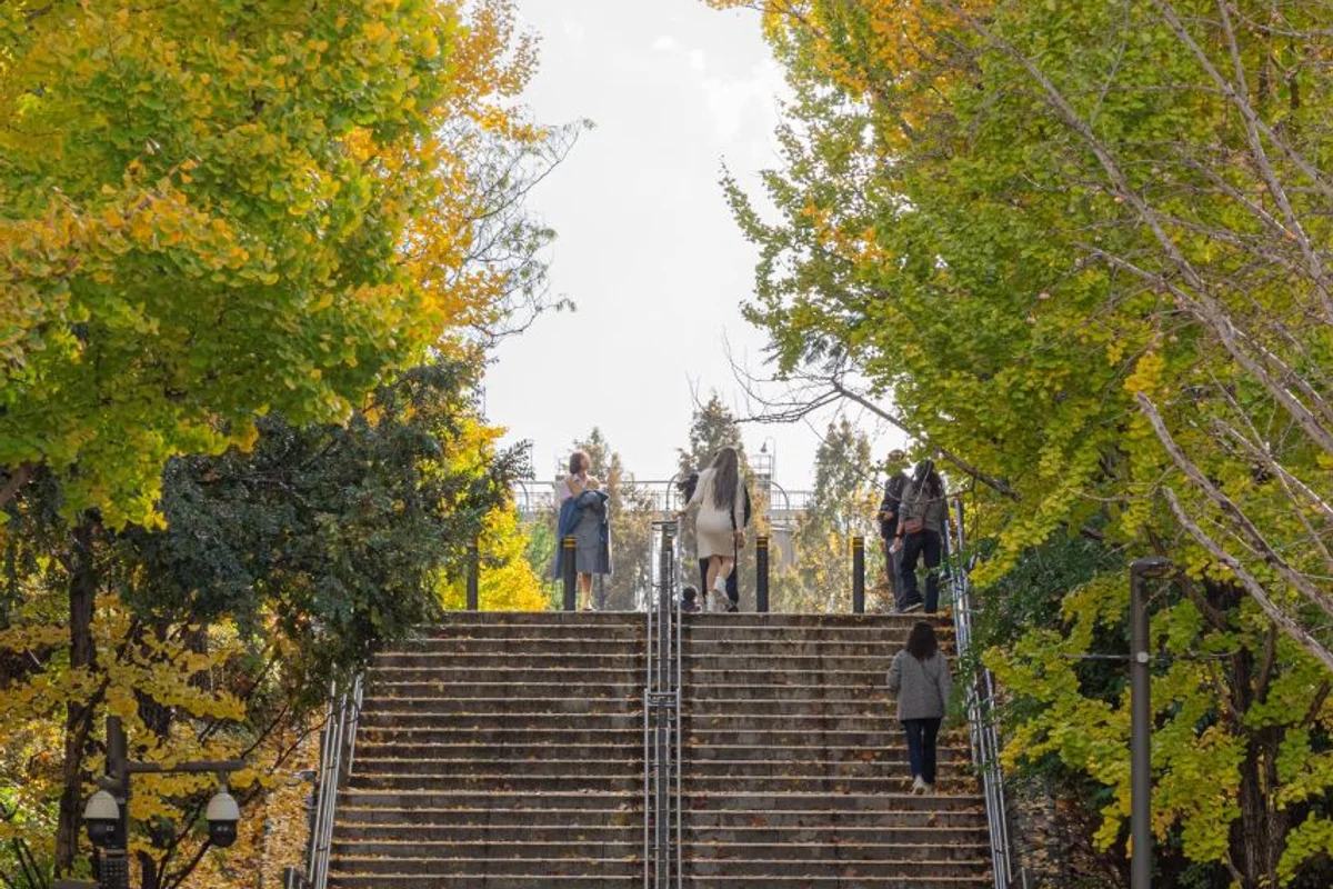 서울숲 - 서울숲 여행