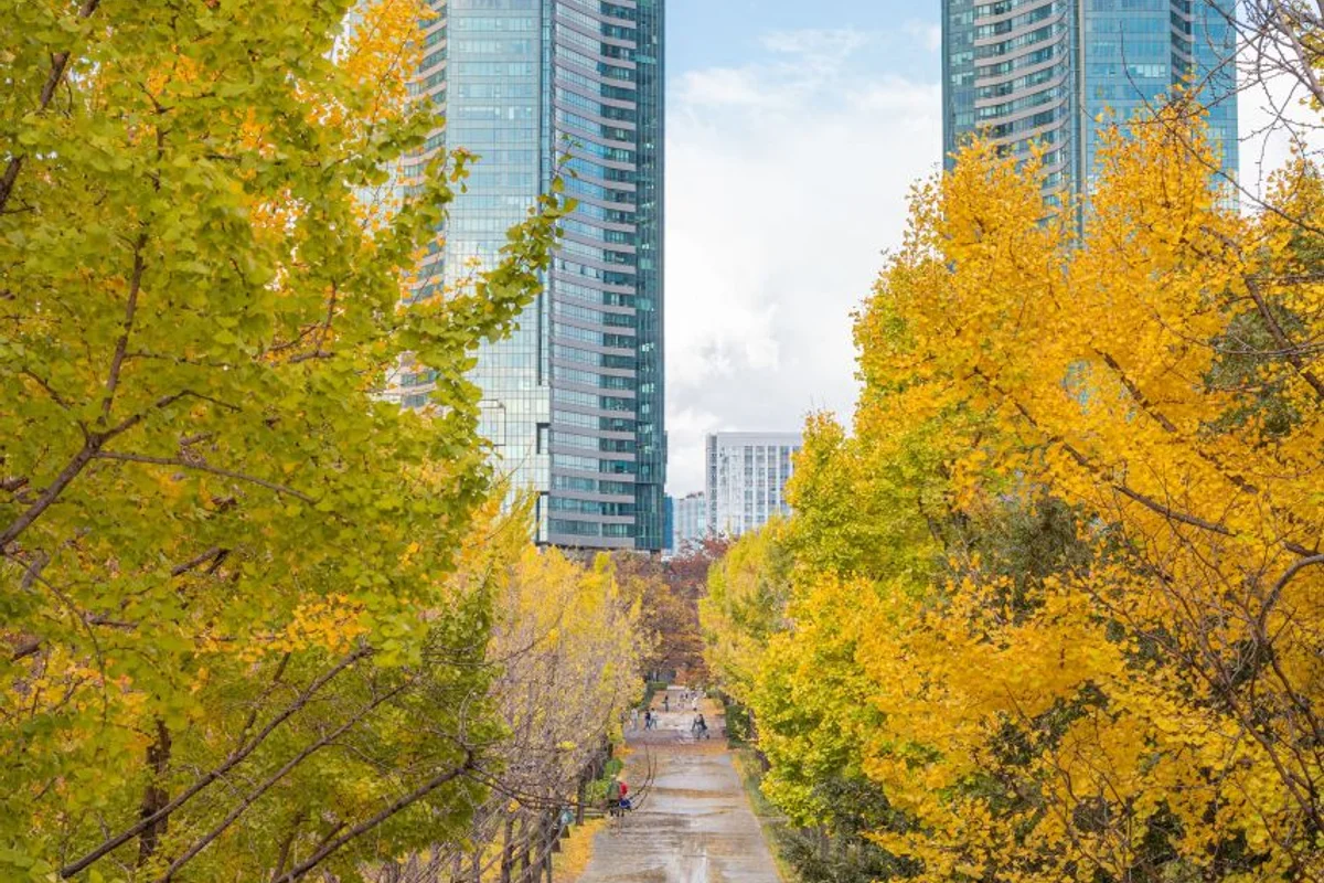 서울숲 자전거 도로 - 서울숲 여행