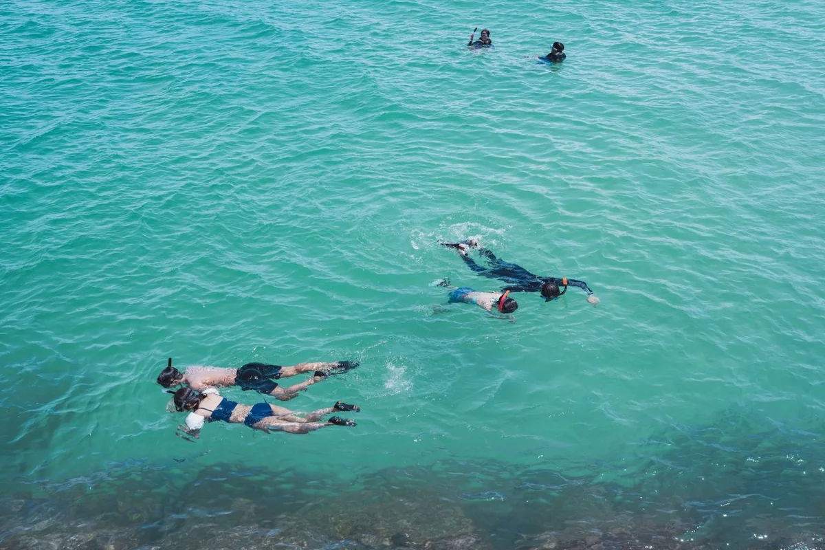 죽변항 스노클링 (출처 : 한국관광공사)