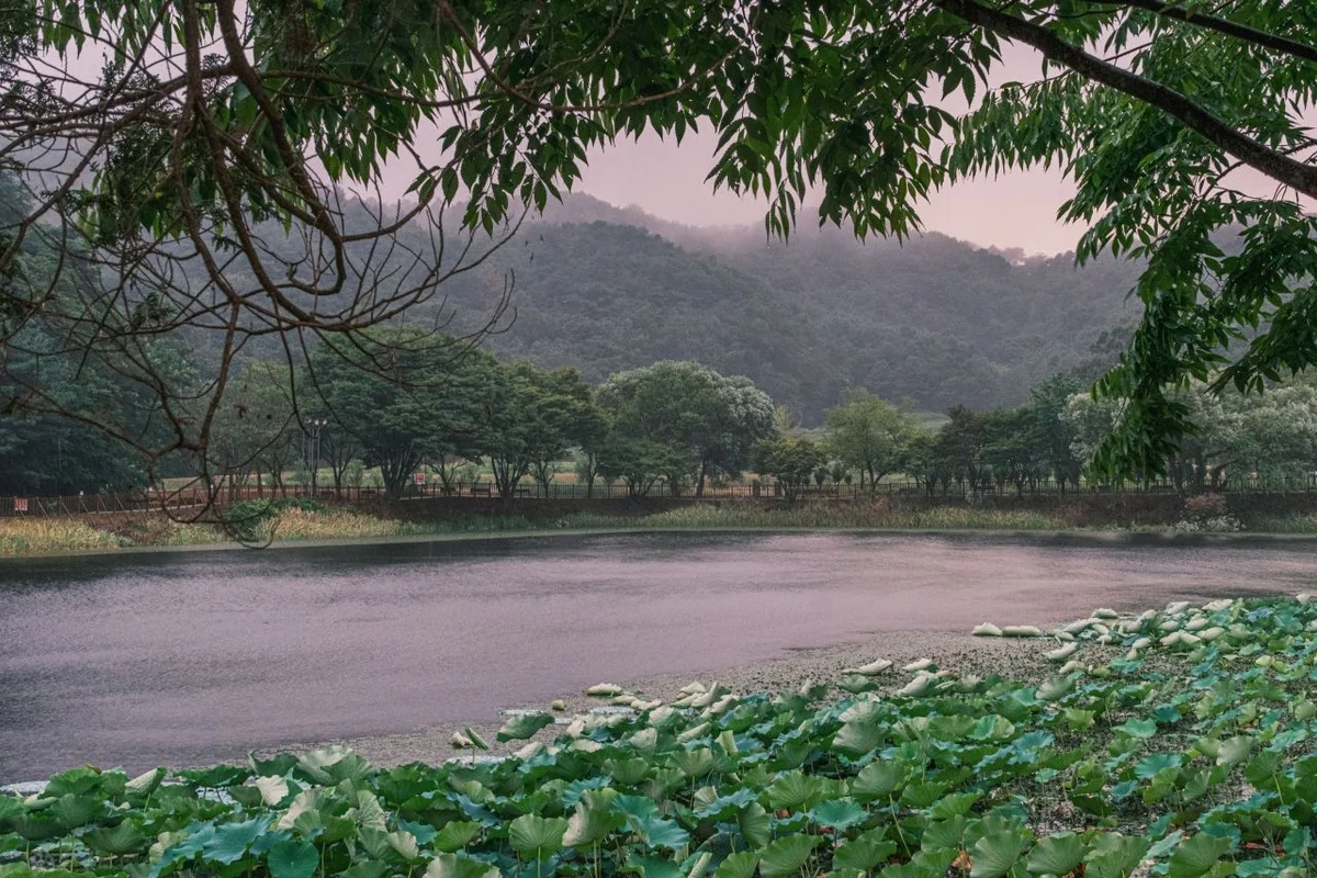 상당산성 자연마당 - 상당산성 여행