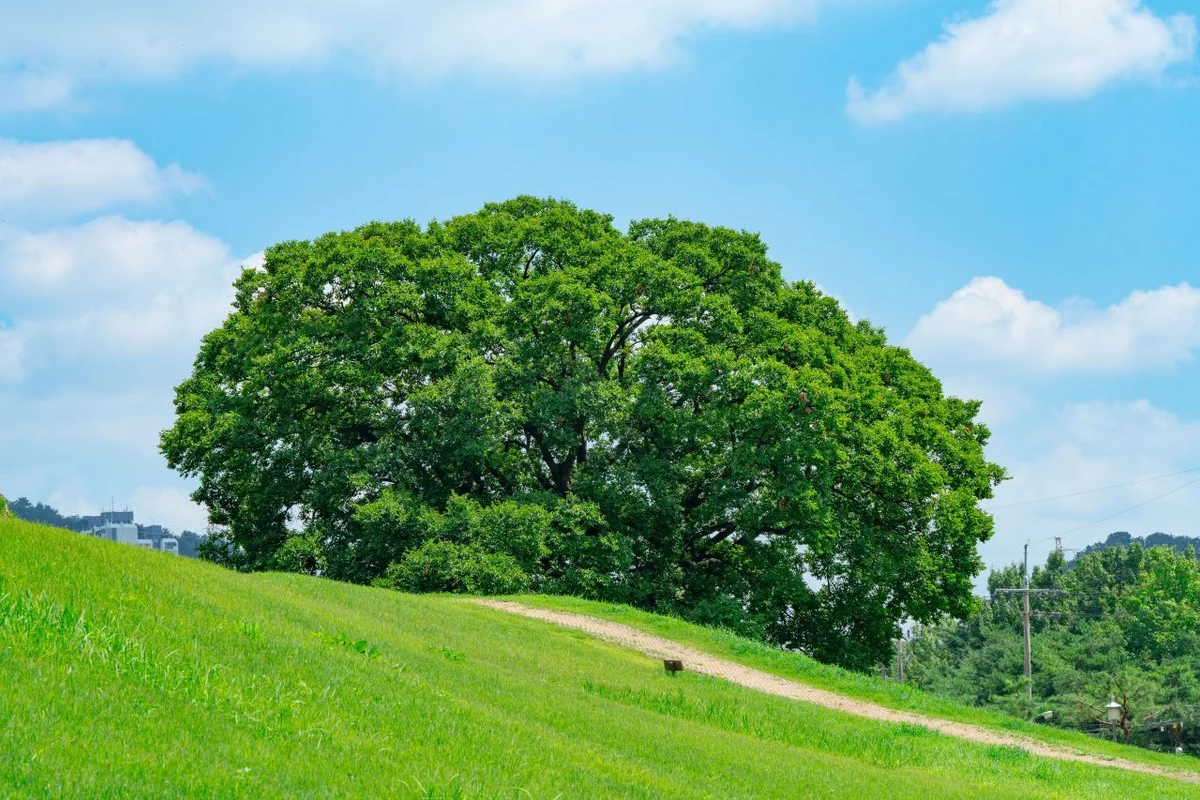 김해시 가족 나들이 (출처 : 한국관광공사)