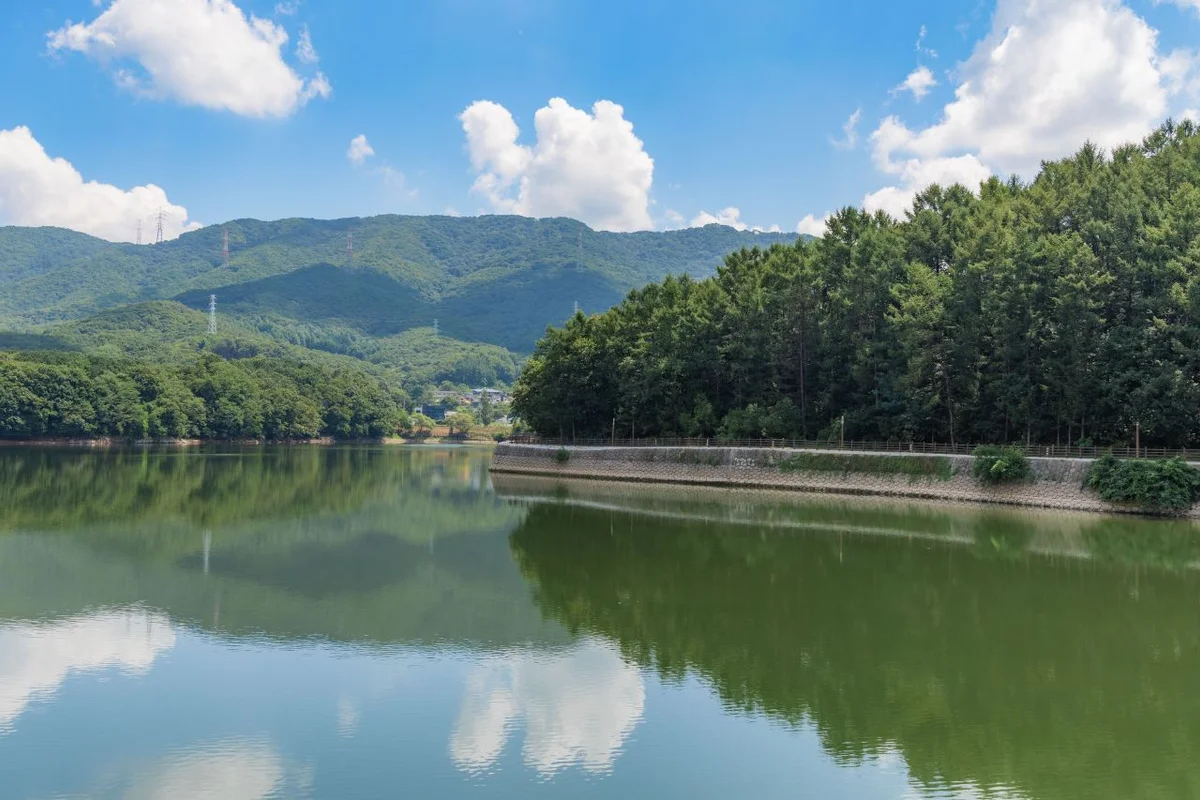 예술정원1999 자연예술테마파크 - 포천여행 여행